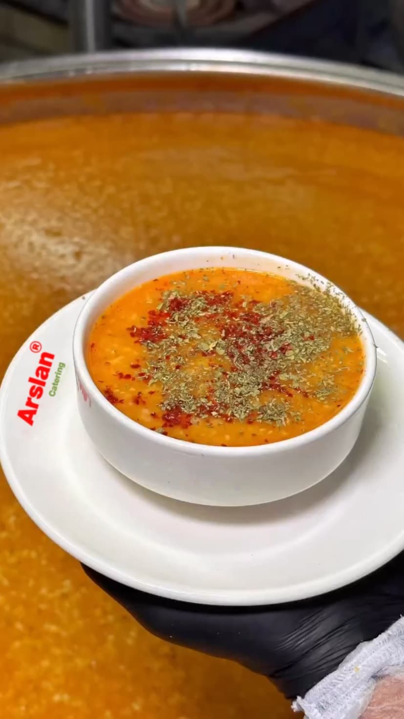 Piknik ve Tur Organizasyonları